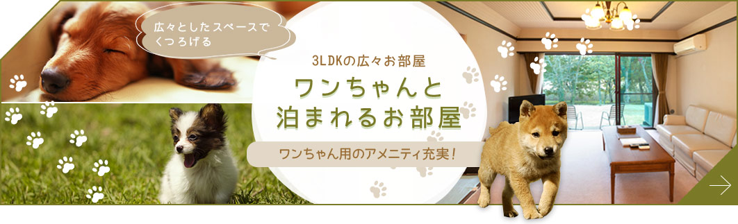 ワンちゃんと泊まれるお部屋